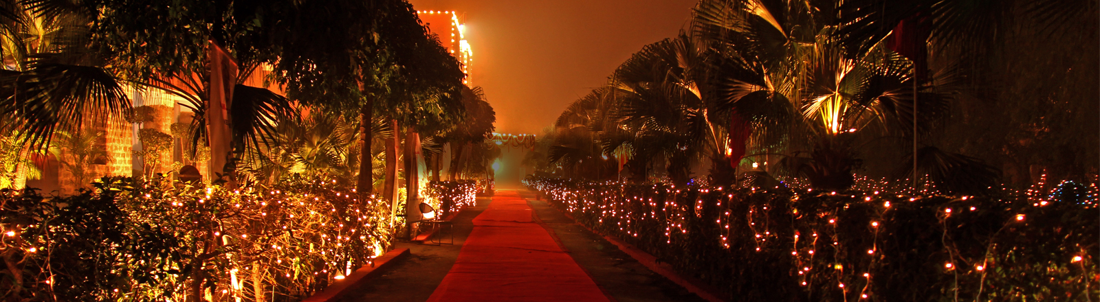 Top 20 Colleges for Arts and Humanities in India