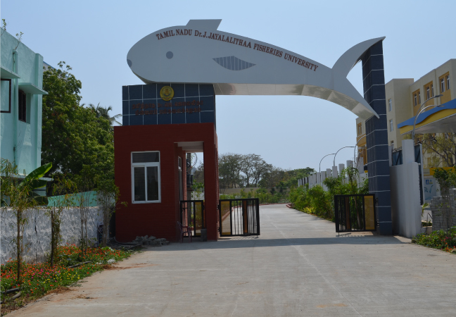 Top 20 Universities in Tamil Nadu