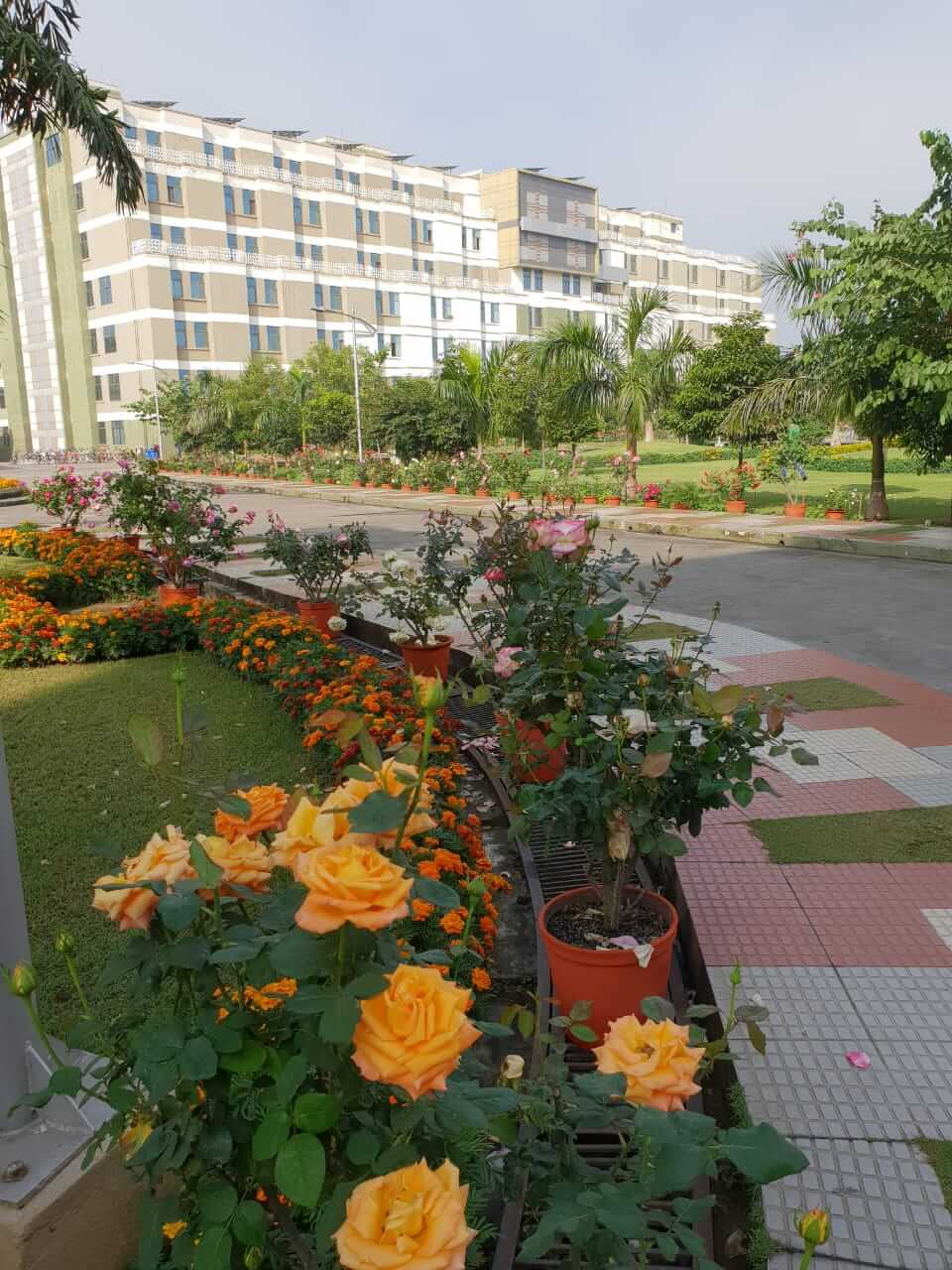 XAT 2026 Registration