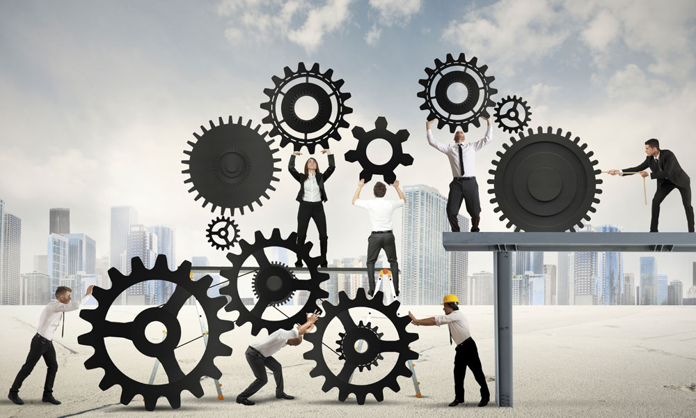 Career Options after Bachelor of Management Sciences 2024