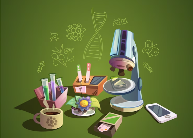 HITSCAT 2025 Application