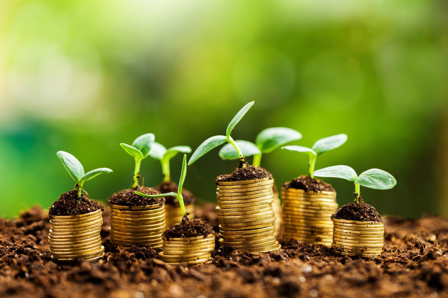 Agricultural Cost Management 3