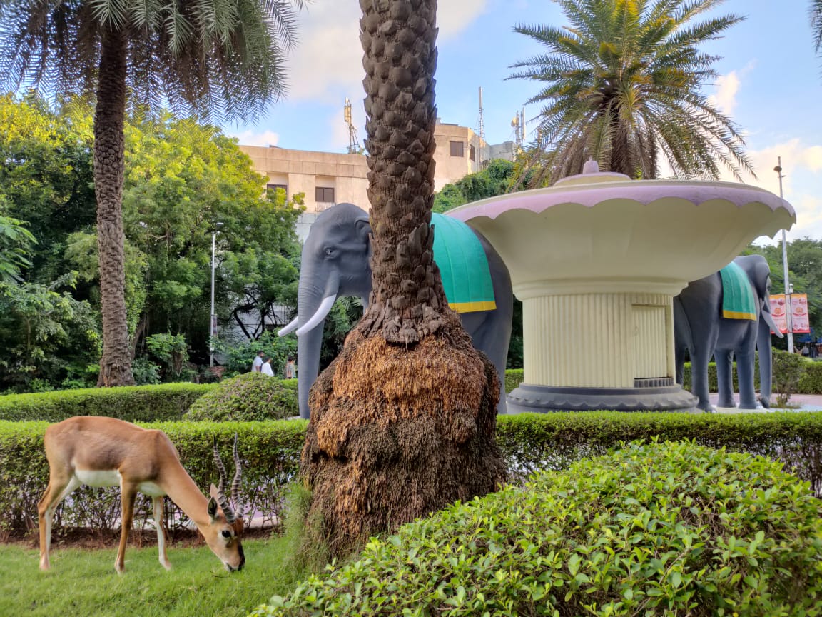 JoSAA Counselling 2025 Application